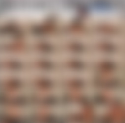 1920 x 1080 Pt.17/Scr/A CURE FOR THE CORONA VIRUS IS GETTING FUCKED BY a PAWG_Crystal Lust_1080p.mp4.jpg