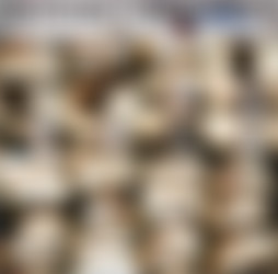 1920 x 1080 Pt.17/Scr/Anderson Cum Slut Tinder Hookup_Mr Airwick_1080p.mp4.jpg