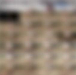 1920 x 1080 Pt.17/Scr/Any Place is a Good Place to Piss outside_Dash McKinzie_1080p.mp4.jpg