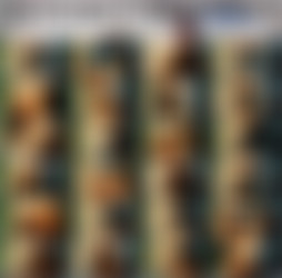 1920 x 1080 Pt.17/Scr/Brainwashed by Beauty_Ceara Lynch_1080p.mp4.jpg