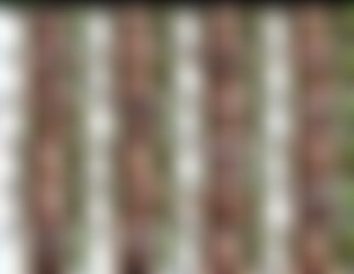 abrattypixie/Screens/abrattypixie-2019-04-29-30008580-Oily mess_s.jpg