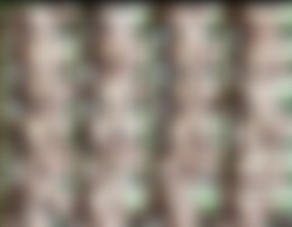 abrattypixie/Screens/abrattypixie-2019-04-30-30222011-Oily Tits_s.jpg