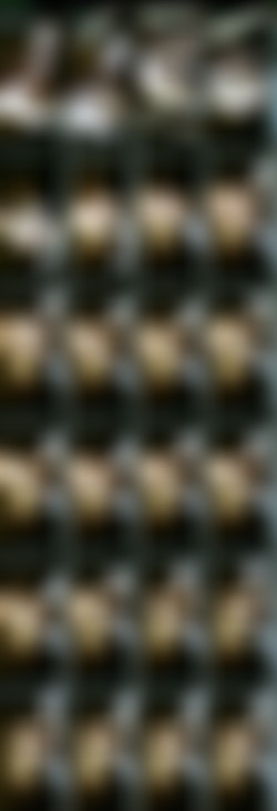 abrattypixie/Screens/abrattypixie-2019-05-07-31175005_s.jpg