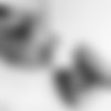 Playboy thumbnail