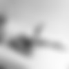Playboy thumbnail