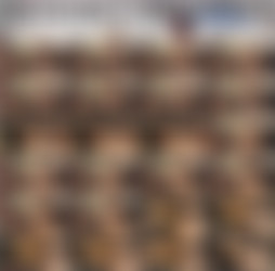 1920 x 1080 Pt.9/Scr/Reverse Cowgirl Twerking makes me Cum Hard - Lap Dance with a Huge Cumshot_Total Fucking Awesomeness_1080p.mp4.jpg