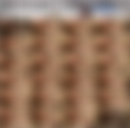 1920 x 1080 Pt.9/Scr/Shower Sex Tapes; Pornography_Jasmin Jai_1080p.mp4.jpg