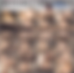 1920 x 1080 Pt.9/Scr/TINDER DATE TURNED OUT IN a REVERSE COWGIRL SEX WITH a HUNGRY THICC_Sex Addiction_1080p.mp4.jpg