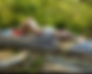 [OnlyFans.com] Janine Lindemulder - SiteRip/photos/1018533162.jpg