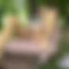 Lovina lady thumbnail